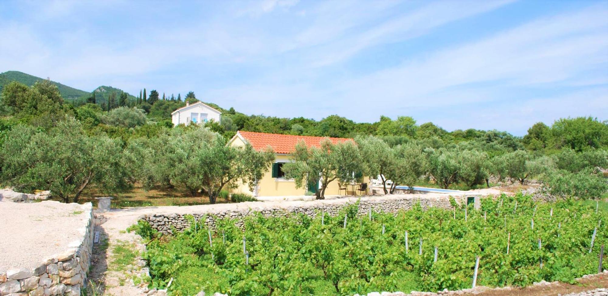Willa Vineyard House & Olive Grove House Račišće Zewnętrze zdjęcie