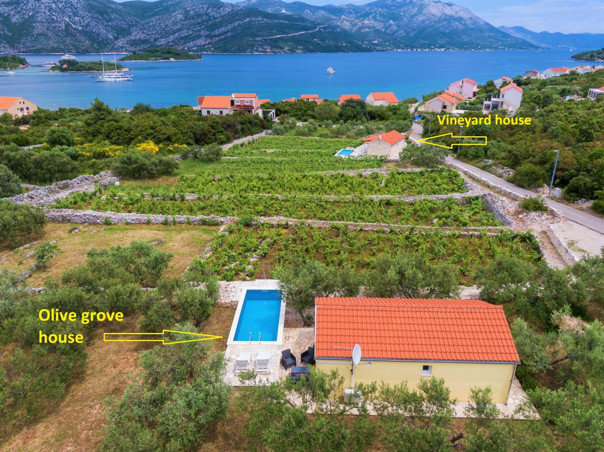 Willa Vineyard House & Olive Grove House Račišće Zewnętrze zdjęcie