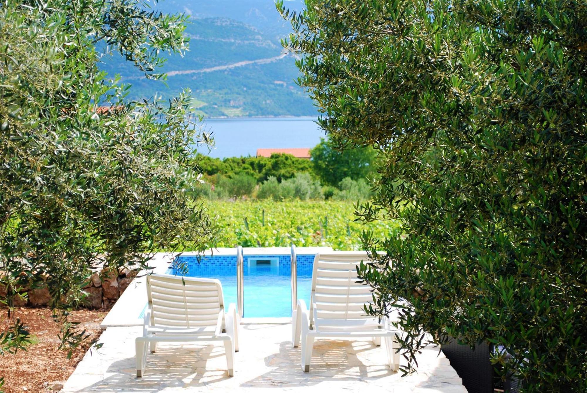 Willa Vineyard House & Olive Grove House Račišće Zewnętrze zdjęcie