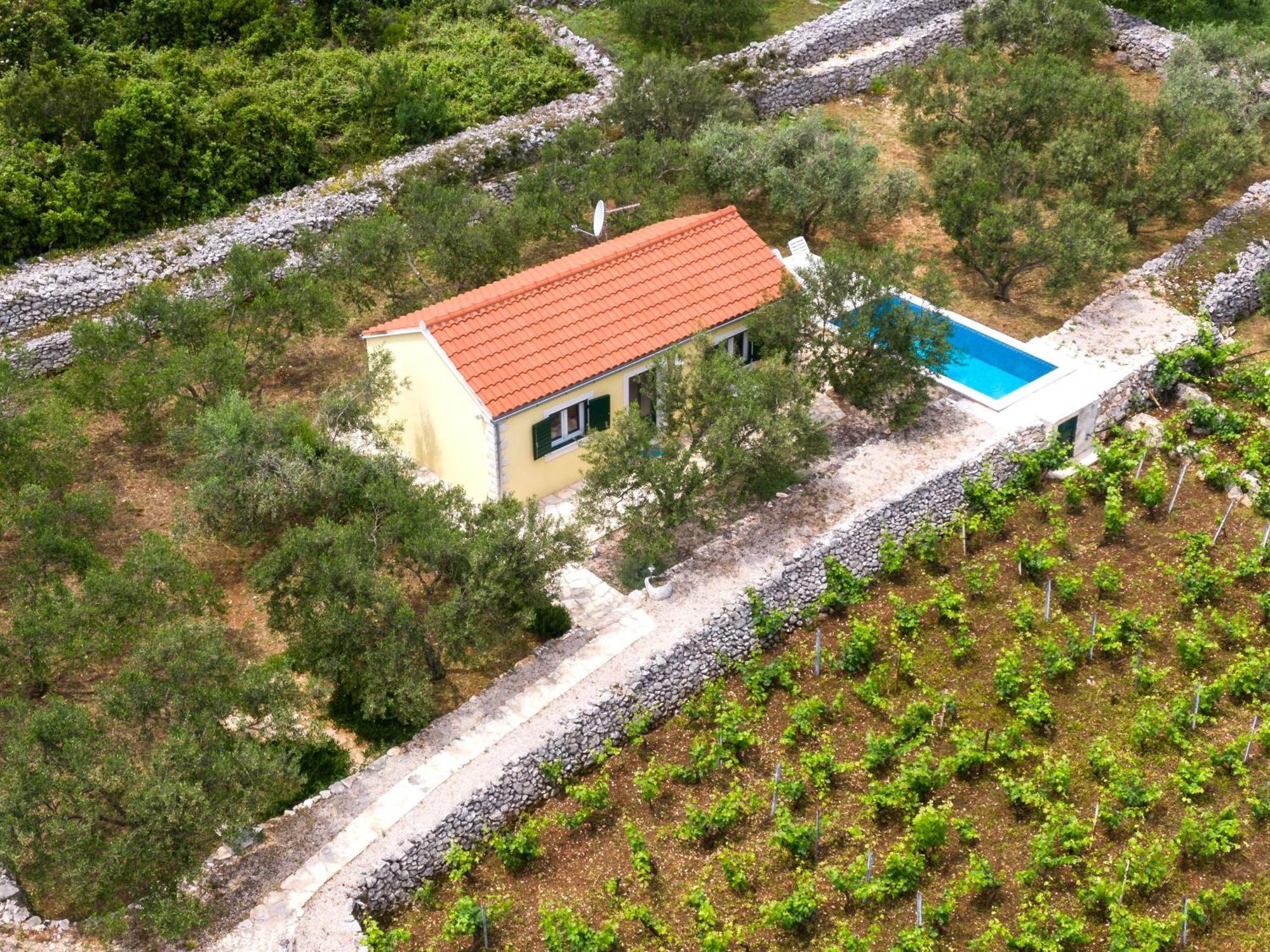 Willa Vineyard House & Olive Grove House Račišće Zewnętrze zdjęcie