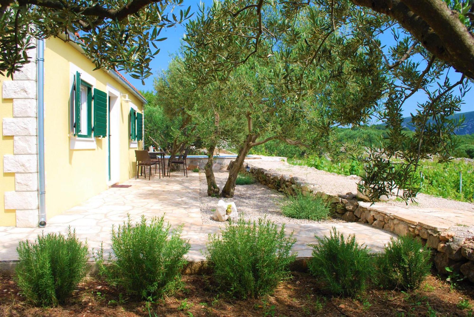 Willa Vineyard House & Olive Grove House Račišće Zewnętrze zdjęcie