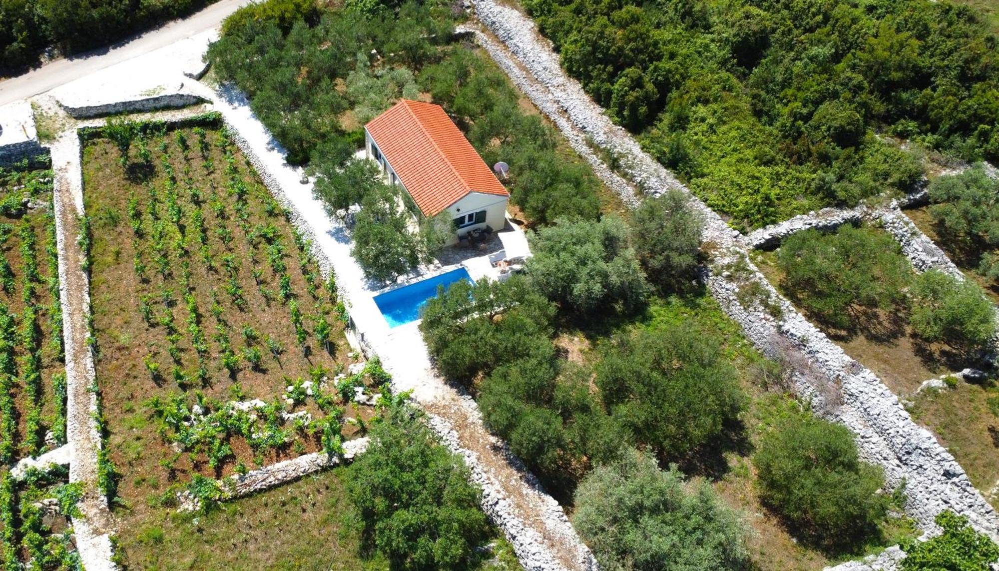 Willa Vineyard House & Olive Grove House Račišće Zewnętrze zdjęcie