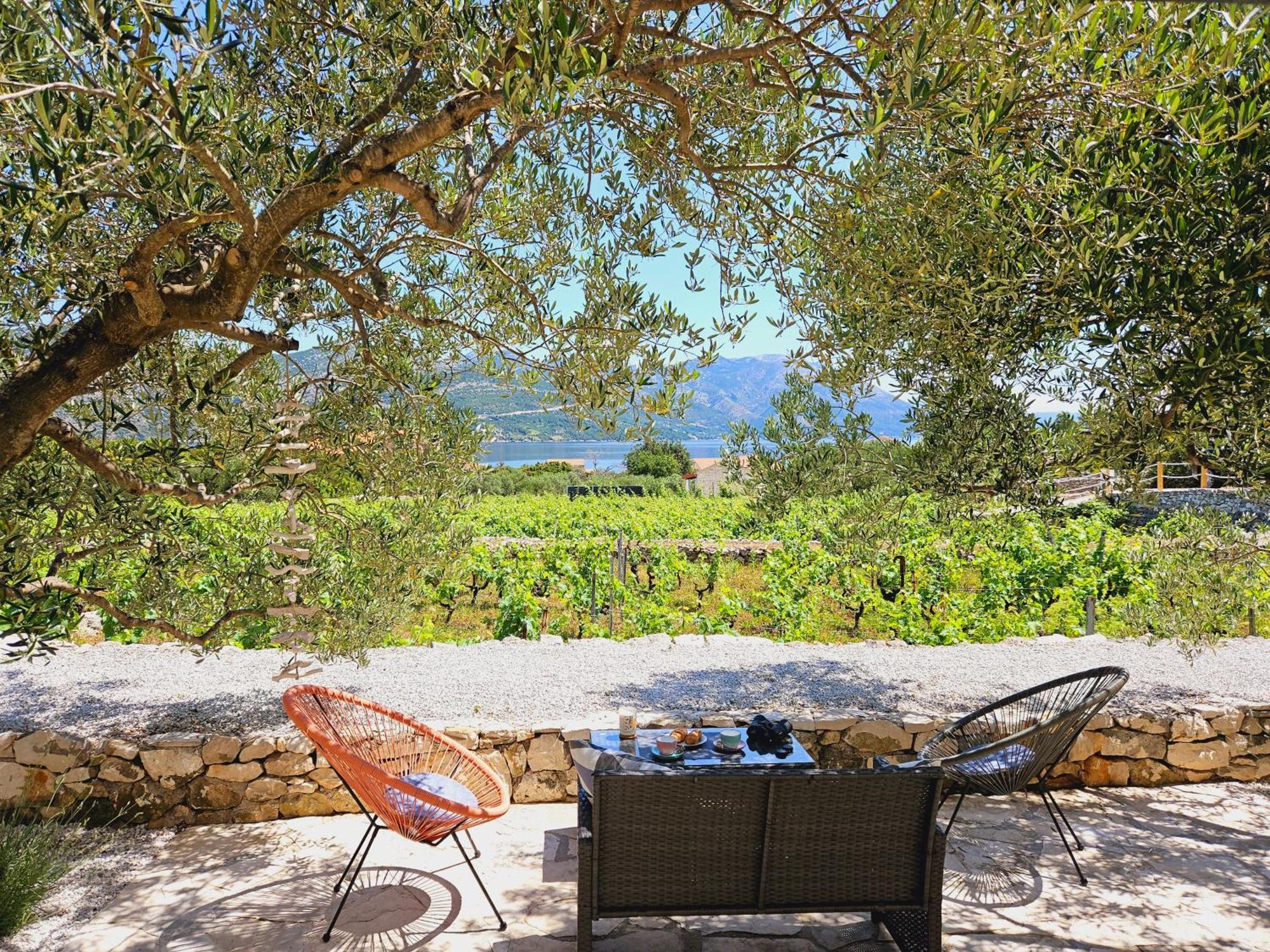 Willa Vineyard House & Olive Grove House Račišće Zewnętrze zdjęcie