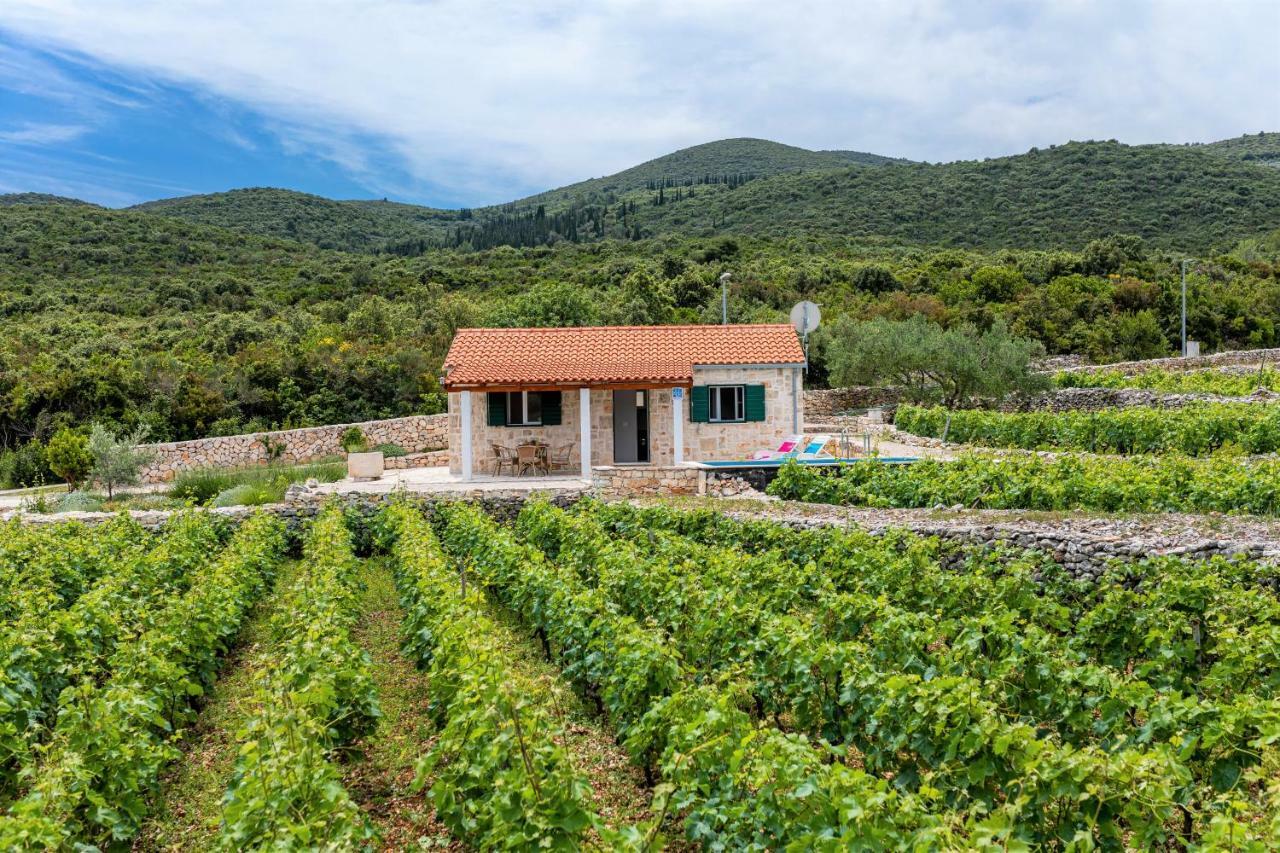 Willa Vineyard House & Olive Grove House Račišće Zewnętrze zdjęcie