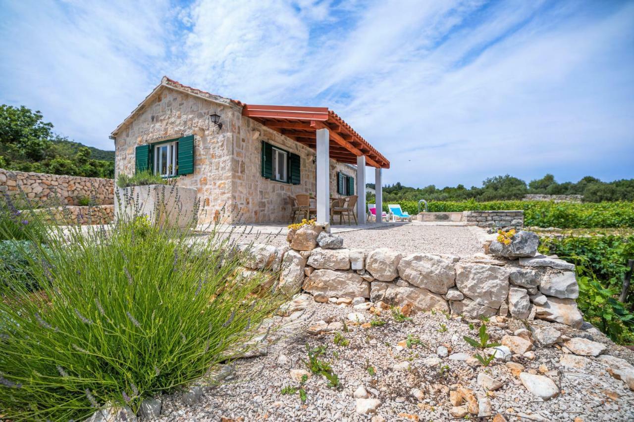 Willa Vineyard House & Olive Grove House Račišće Zewnętrze zdjęcie
