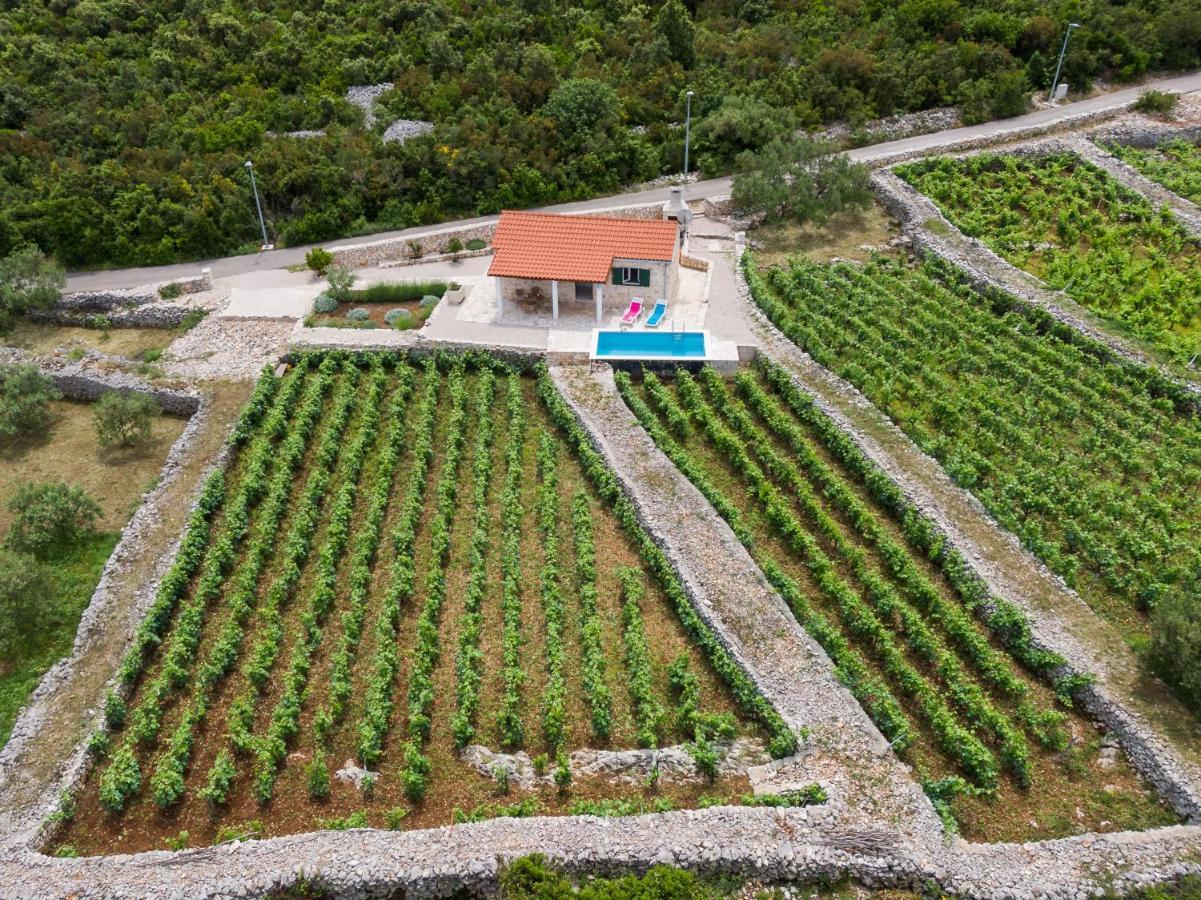Willa Vineyard House & Olive Grove House Račišće Zewnętrze zdjęcie