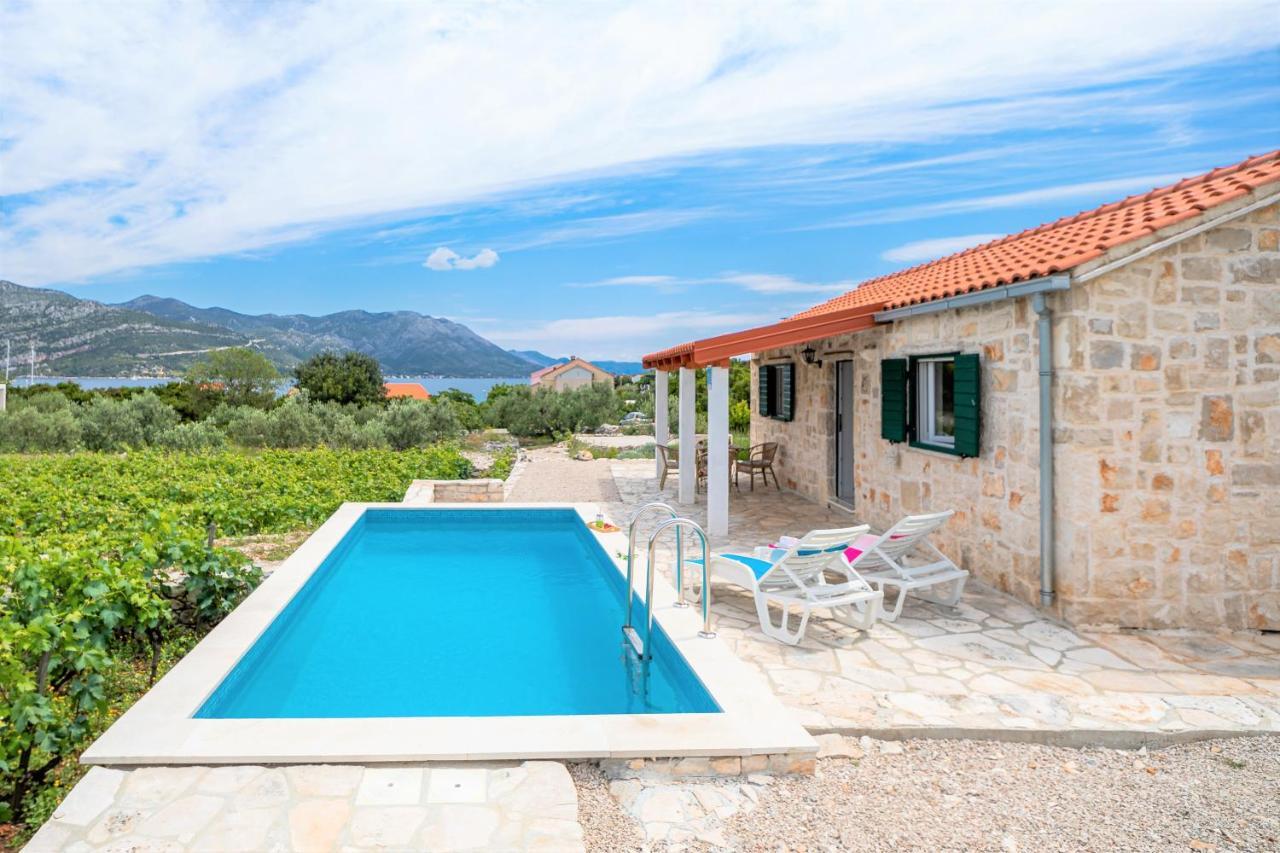 Willa Vineyard House & Olive Grove House Račišće Zewnętrze zdjęcie