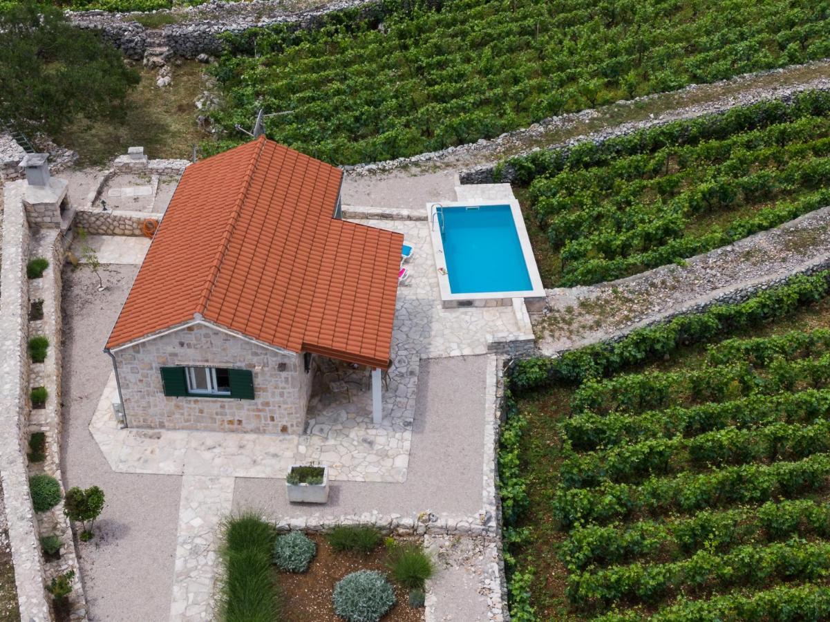 Willa Vineyard House & Olive Grove House Račišće Zewnętrze zdjęcie