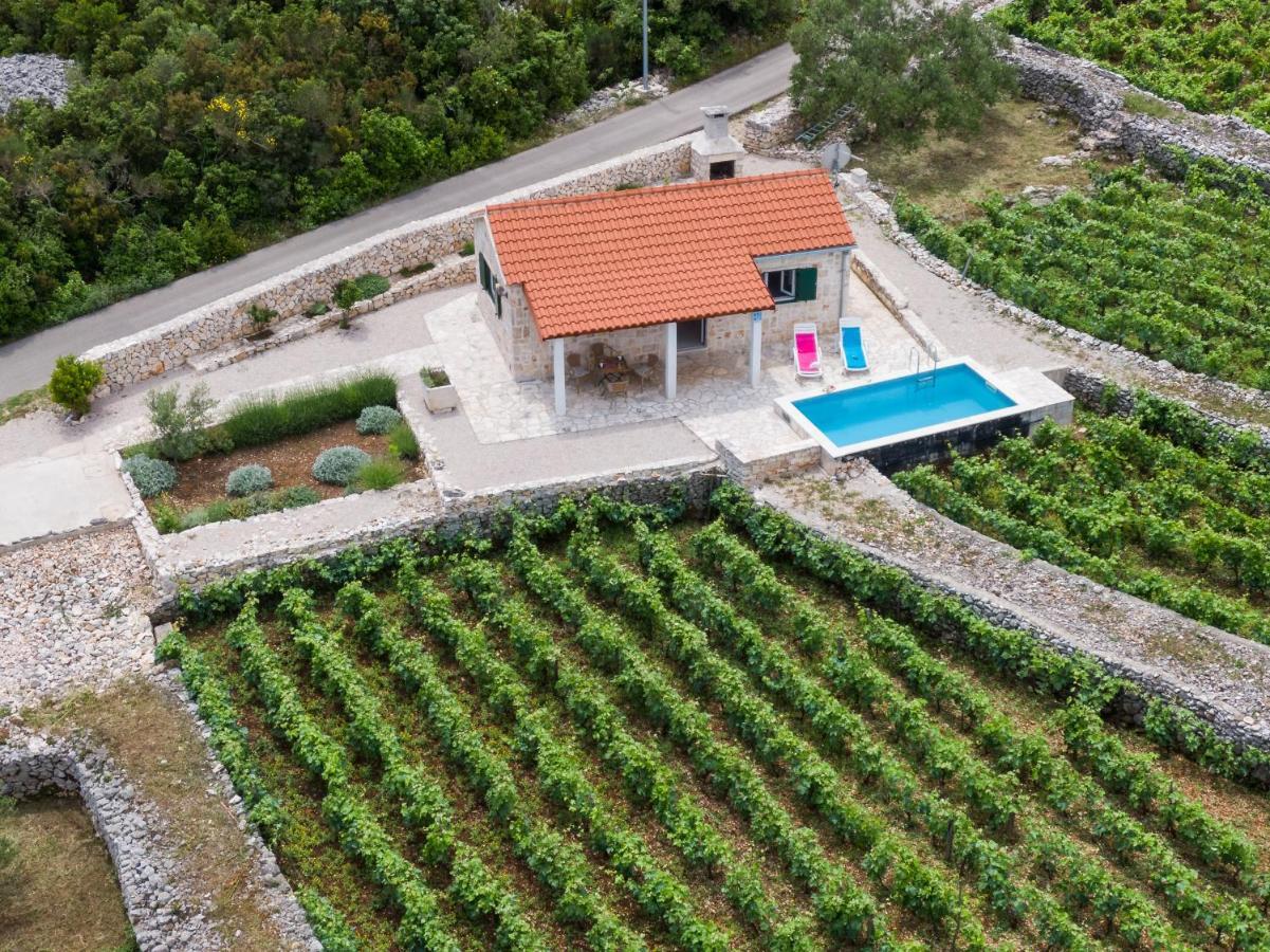 Willa Vineyard House & Olive Grove House Račišće Zewnętrze zdjęcie