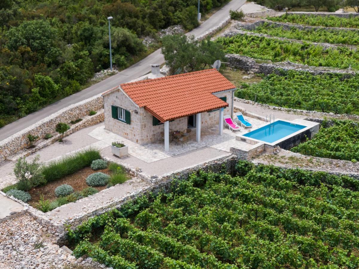 Willa Vineyard House & Olive Grove House Račišće Zewnętrze zdjęcie