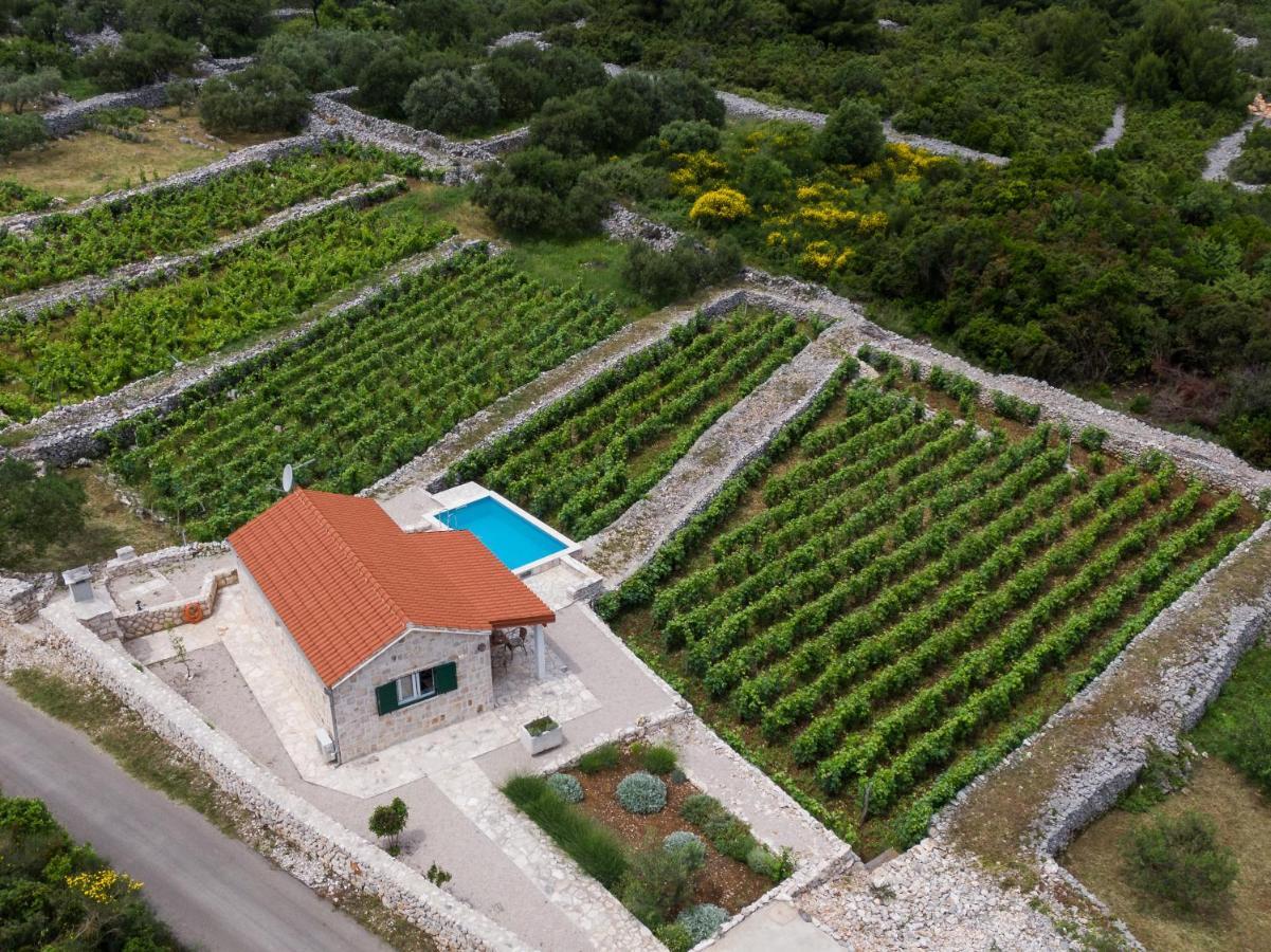 Willa Vineyard House & Olive Grove House Račišće Zewnętrze zdjęcie
